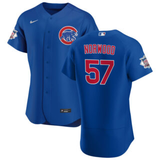 Chicago Cubs #57 James Norwood Men's Nike Royal Alternate 2020 Authentic Player Jersey