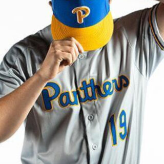 Custom PITT Pittsburgh Panthers Gray Baseball Jersey