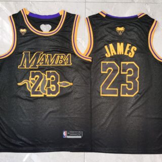 Lakers 23 Lebron James Black Mamba Swingman Jersey