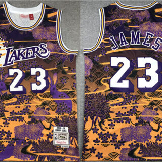 Men's Los Angeles Lakers #23 LeBron James Purple Yellow Throwback Basketball Jersey