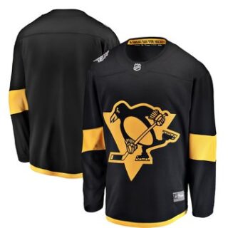 Men's Pittsburgh Penguins Blank Black 2019 NHL Stadium Series Jersey - 1