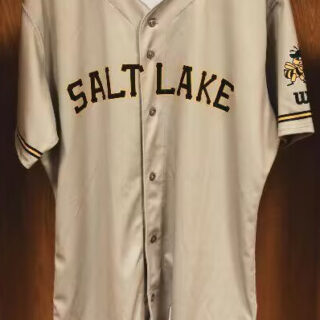 Men's Salt Lake Bees Blank Brown Stitched Baseball Jersey