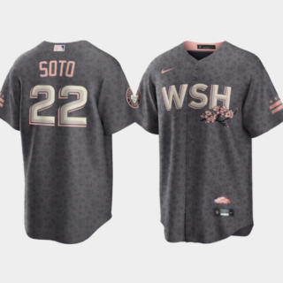 Men's Washington Nationals #22 Juan Soto 2022 Grey City Connect Cherry Blossom Cool Base Stitched Jersey