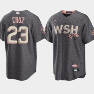 Men's Washington Nationals #23 Nelson Cruz 2022 Grey City Connect Cherry Blossom Cool Base Stitched Jersey