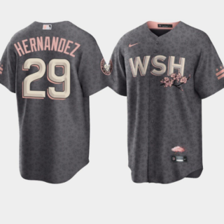 Men's Washington Nationals #29 Yadiel Hernandez 2022 Grey City Connect Cherry Blossom Cool Base Stitched Jersey
