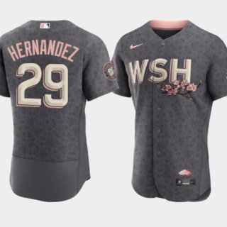 Men's Washington Nationals #29 Yadiel Hernandez 2022 Grey City Connect Cherry Blossom Flex Base Stitched MLB Jersey