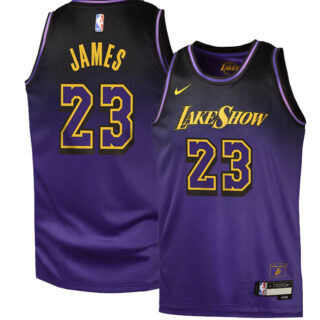 Youth Los Angeles Lakers #23 LeBron James Purple Jersey-City Edition