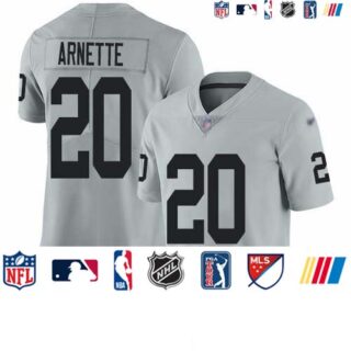 Nike Raiders #20 Damon Arnette Silver Men's Stitched NFL Limited Inverted Legend Jersey