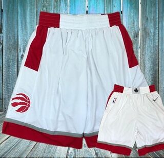 Raptors White Nike Swingman Shorts