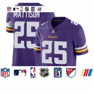 Vikings #25 Alexander Mattison Purple Team Color Men's Stitched Football Vapor Untouchable Limited Jersey