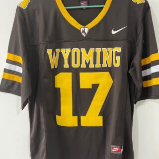 Wyoming #17 Josh Allen Brown Jersey