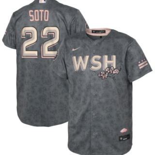 Youth Washington Nationals #22 Juan Soto 2022 Grey City Connect Cherry Blossom Stitched Baseball Jersey