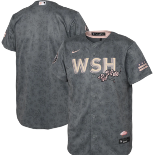 Youth Washington Nationals Blank 2022 Grey City Connect Cherry Blossom Stitched Baseball Jersey
