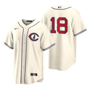 Youth Chicago Cubs Frank Schwindel 2022 Field of Dreams Cream Stitched Jersey
