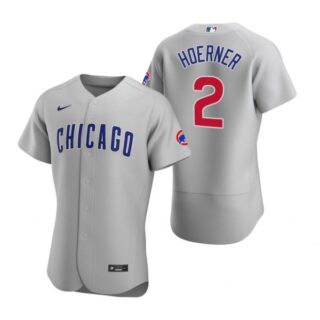 Men's Nico Hoerner Chicago Cubs Flex Base Jersey Gray