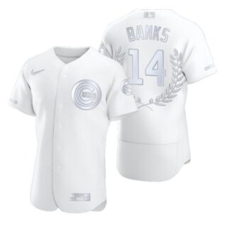 Men's Ernie Banks Chicago Cubs Flex Base Jersey White Award