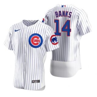 Men's Ernie Banks Chicago Cubs Flex Base Jersey White