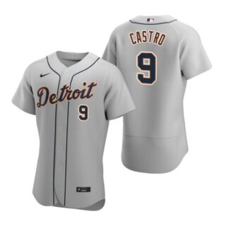 Men's Willi Castro Detroit Tigers Flex Base Jersey Gray