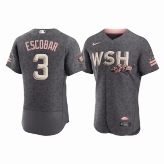 Men's Flex Base Alcides Escobar Washington Nationals Gray 2022 City Connect Cherry Blossom Jersey