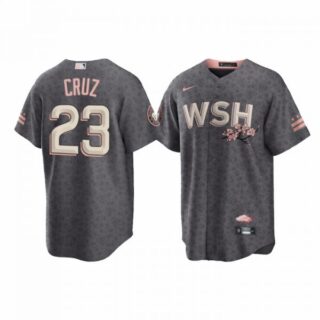 Youth Nelson Cruz Washington Nationals City Connect Cherry Blossom Jersey Gray