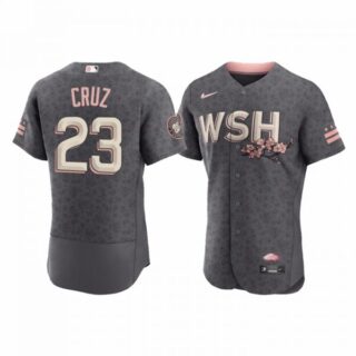 Men's Flex Base Nelson Cruz Washington Nationals Gray 2022 City Connect Cherry Blossom Jersey
