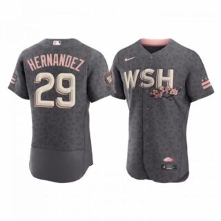 Men's Flex Base Yadiel Hernandez Washington Nationals Gray 2022 City Connect Cherry Blossom Jersey