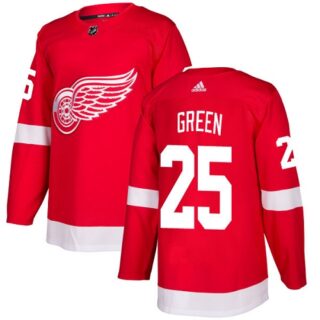 Youth Detroit Red Wings #25 Mike Green Red Home Authentic Stitched NHL Jersey