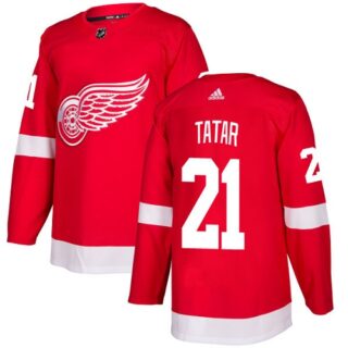 Youth Detroit Red Wings #21 Tomas Tatar Red Home Authentic Stitched NHL Jersey