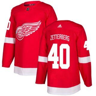 Youth Detroit Red Wings #40 Henrik Zetterberg Red Home Authentic Stitched NHL Jersey