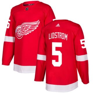 Youth Detroit Red Wings #5 Nicklas Lidstrom Red Home Authentic Stitched NHL Jersey