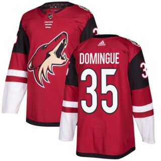 Youth Arizona Coyotes #35 Louis Domingue Maroon Home Authentic Stitched NHL Jersey