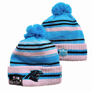 Carolina Panthers 2025 Knit Hats