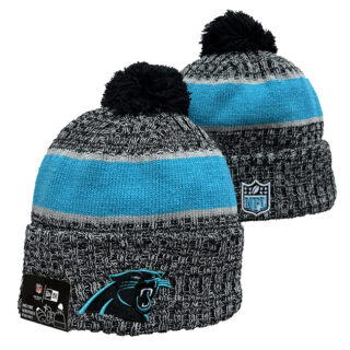 Carolina Panthers 2025 Knit Hats