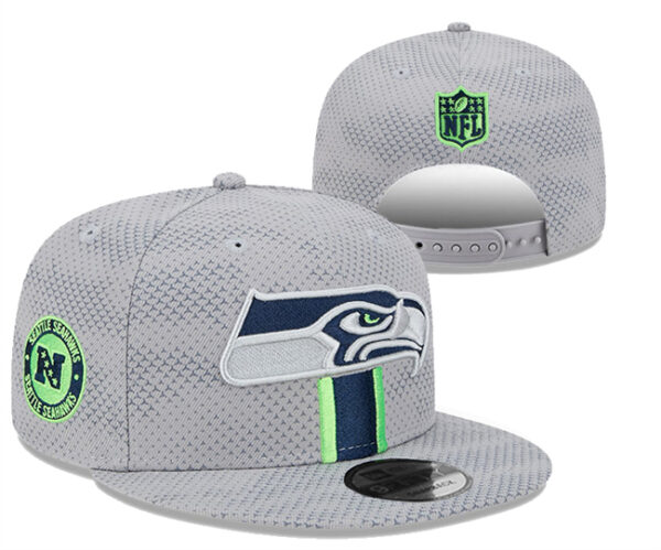 Seattle Seahawks 2025 Stitched Snapback Hats