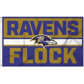 2pcs Industries NFL Football Bold 3x5 Banner Flag Single Sided - Indoor or Outdoor