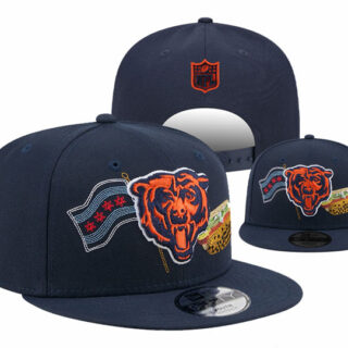 Chicago Bears 2025 Stitched Snapback Hats 006