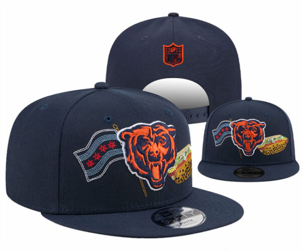 Chicago Bears 2025 Stitched Snapback Hats 006