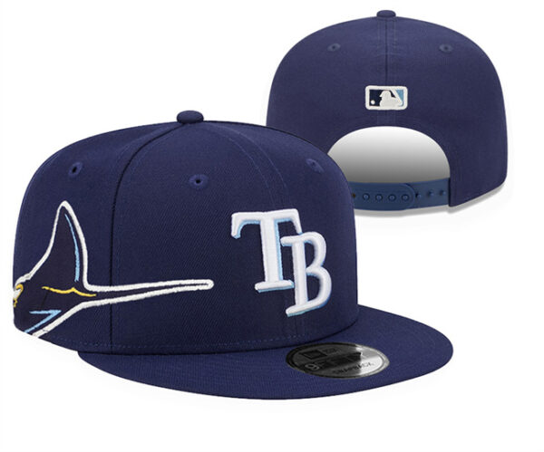 Tampa Bay Rays 2025 Stitched Snapback Hats 005