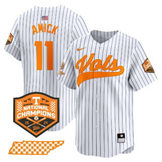 Tennessee Volunteers 2024 Champions Vapor Premier Limited baseball Jersey All Stitched Pinstripe #11 Billy Amick