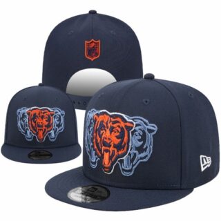NFL Chicago Bears Stitched Snapback Hats 2026-1-02