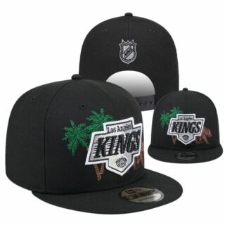 NHL Los Angeles Kings Stitched Snapback Hats 2026-1-01