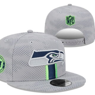 Seattle Seahawks 2025 Stitched Snapback Hats 011