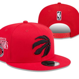 Toronto Raptors 2025 Stitched Snapback Hats 005
