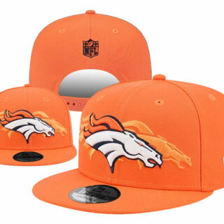 Denver Broncos 2025 Stitched Snapback Hats 011