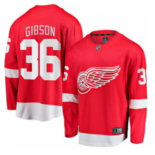 Men's Detroit Red Wings #36 John Gibson Red Home Stitched Hockey Jersey