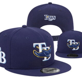 Tampa Bay Rays 2025 Stitched Snapback Hats 006
