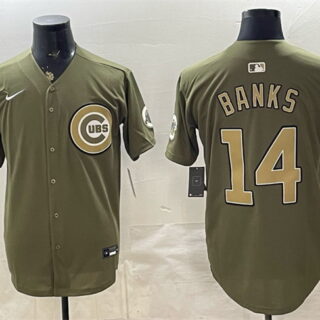 Men's Chicago Cubs #14 Ernie Banks Royal Olive 2026 Armed Forces Day Salute To Service Stitched Baseball Jersey