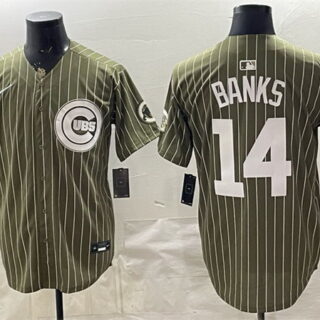 Men's Chicago Cubs #14 Ernie Banks Pinstripe Olive 2026 Armed Forces Day Salute To Service Stitched Baseball Jersey
