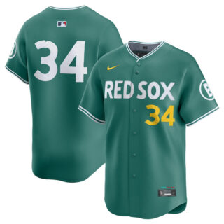 Men's Boston Red Sox #34 David Ortiz Green 2025 City Connect Limited Stitched Baseball Jersey