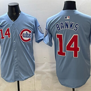 Men's Chicago Cubs #14 Ernie Banks Blue 2024 25 2nd Alternate Limited Stitched Baseball Jersey